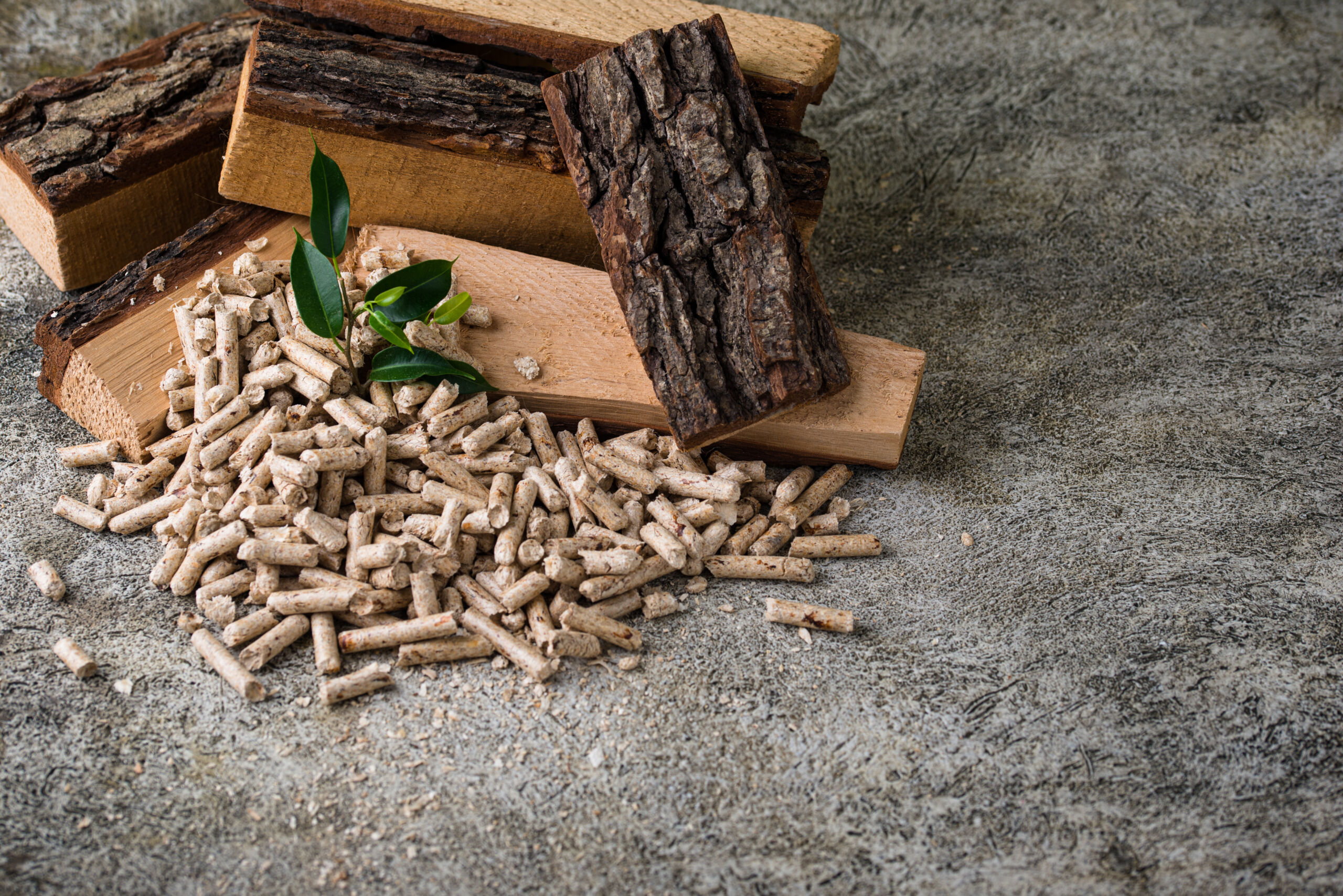 Eco natural fuel wooden pellets with firewood